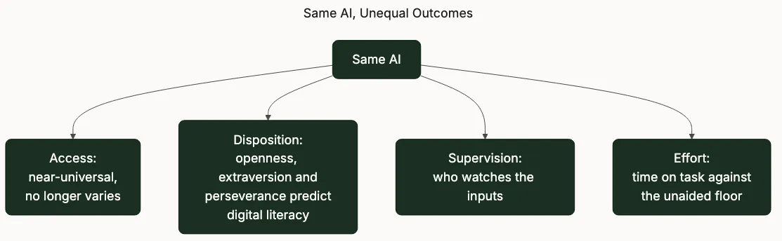 Hierarchy showing same AI, unequal outcomes, branching into access, disposition, supervision and effort.
